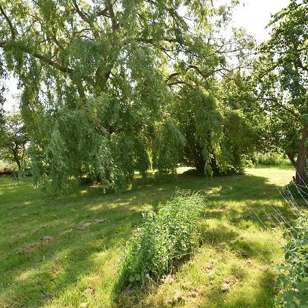 Spacious Holiday Home In Hornstorf With Trampoline 外观 照片