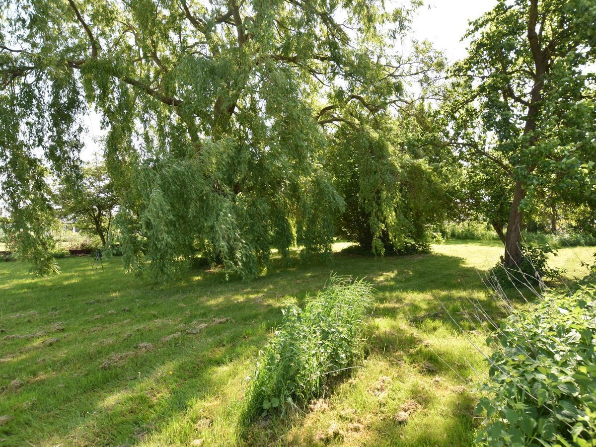 Spacious Holiday Home In Hornstorf With Trampoline 外观 照片